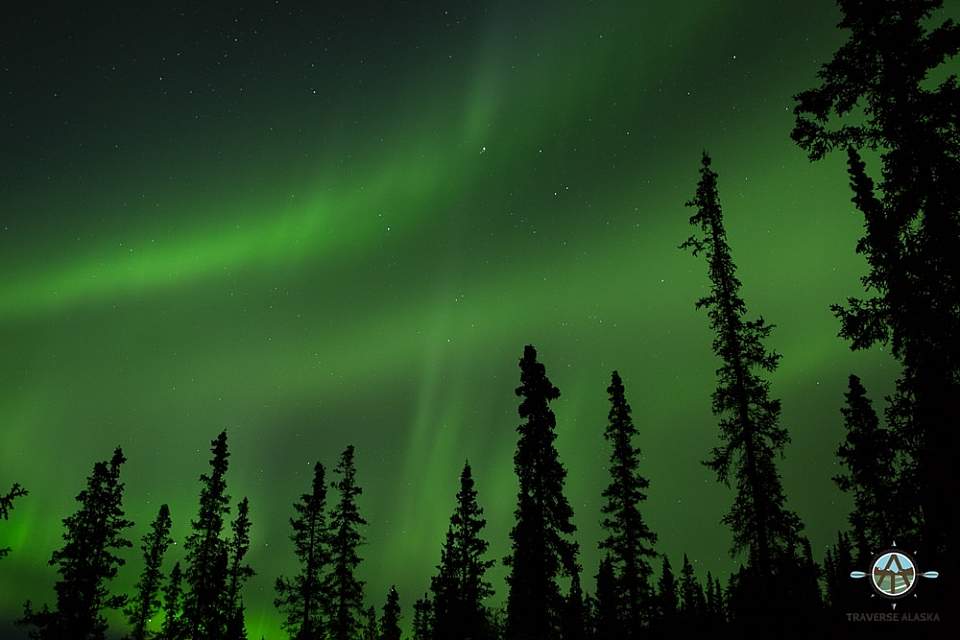 Northern lights adventures with Northern Alaska Tour Company