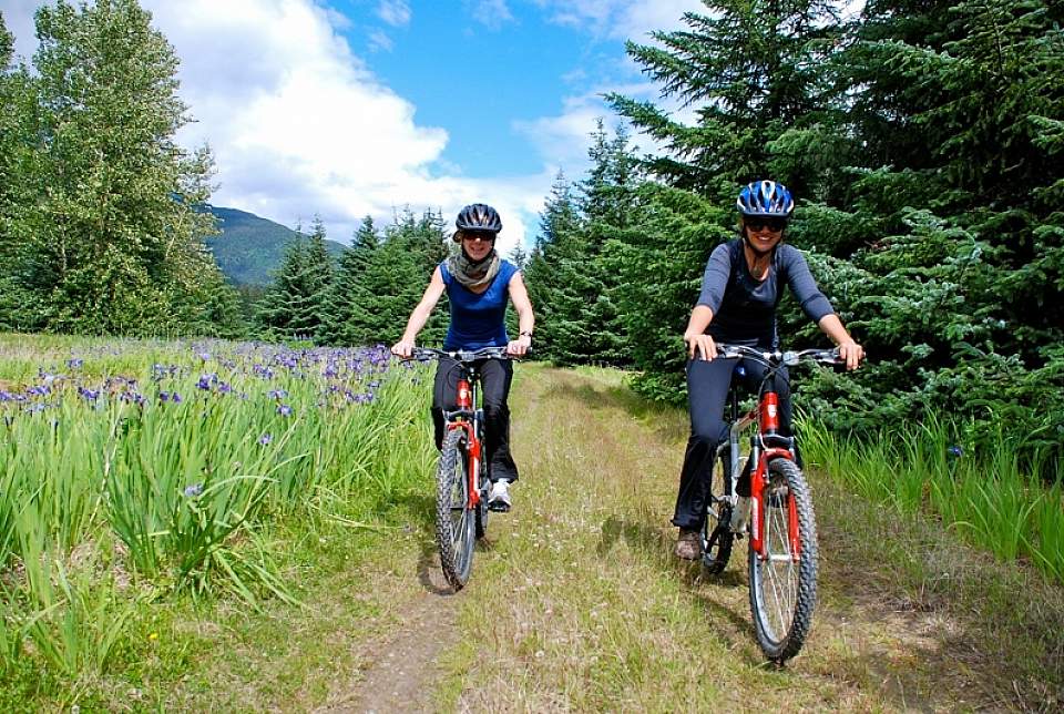 Rent a bike with Sockeye Cycle Co.