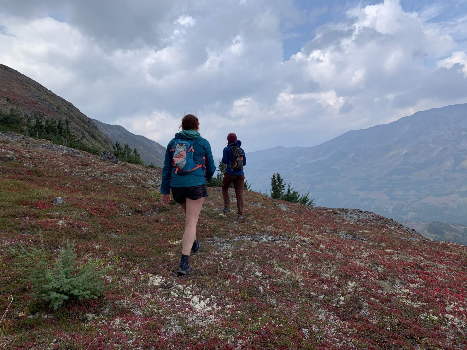 Haley Johnston AC Image Tips for AK Backpacking Tundra