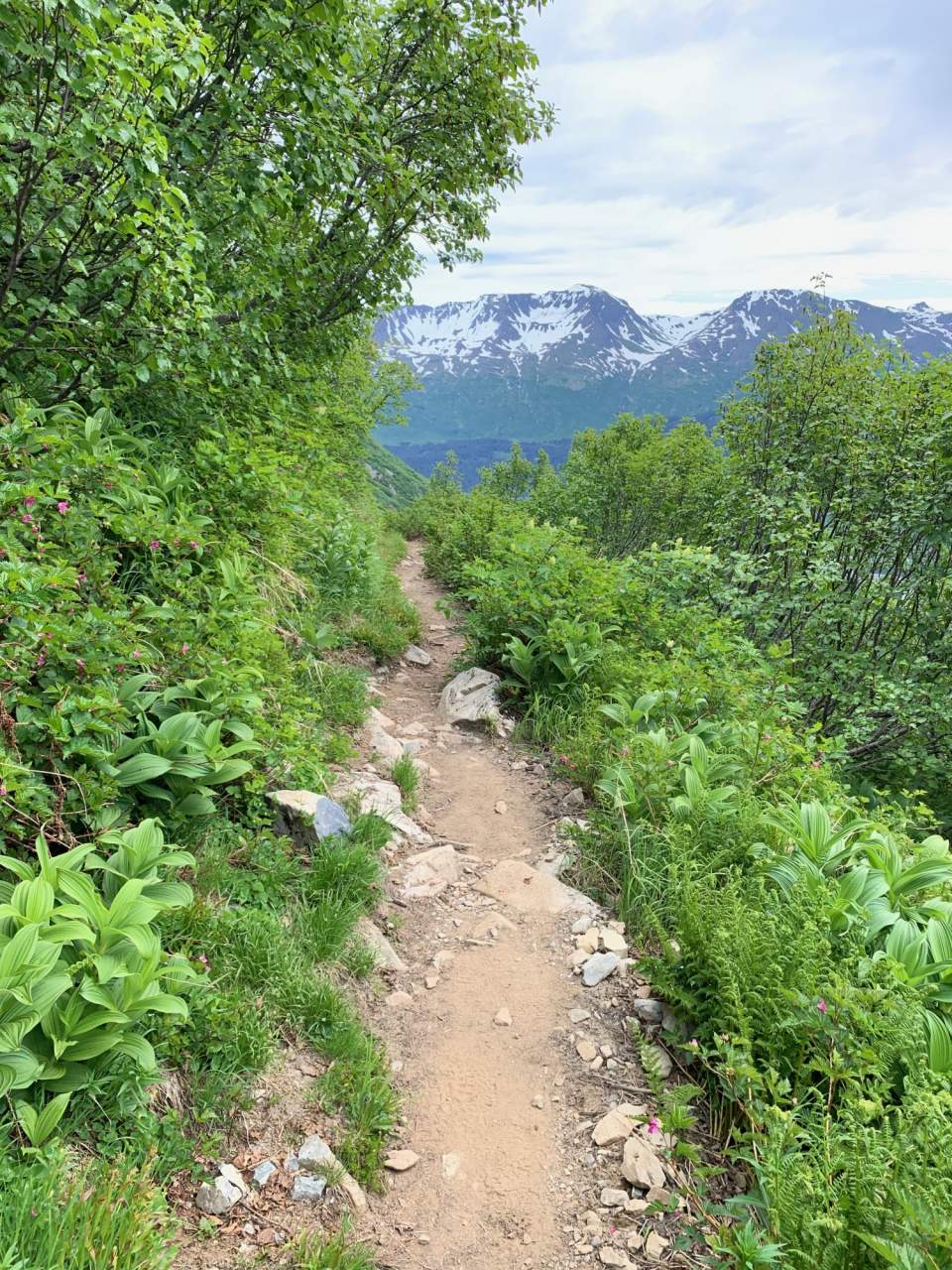 Tips For Your First Alaskan Backpacking Trip