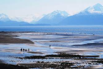 Bishops beach homer alaskabest beachesalaska org alaska org photo contest bishop beach
