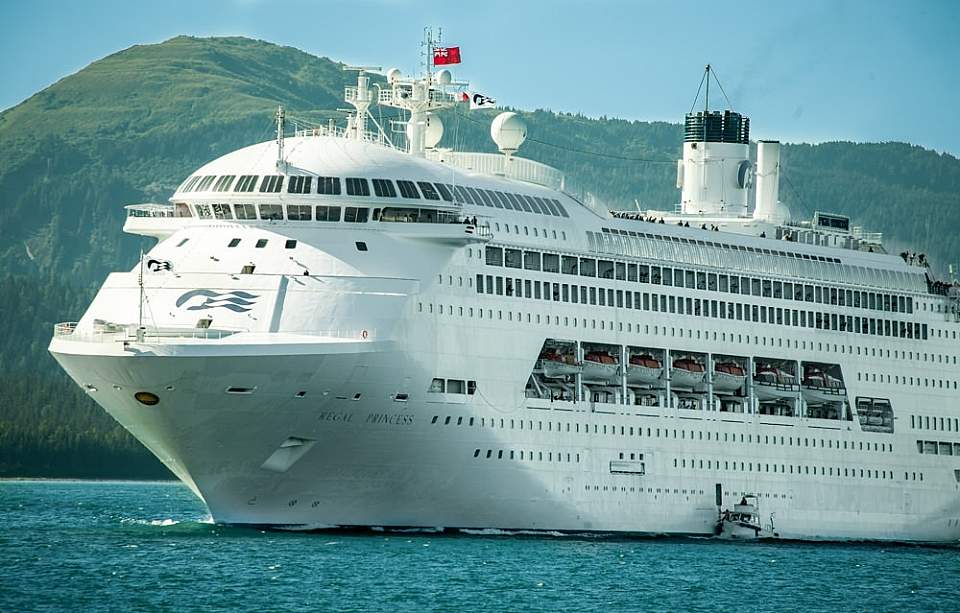 What is the average capacity of a cruise ship?