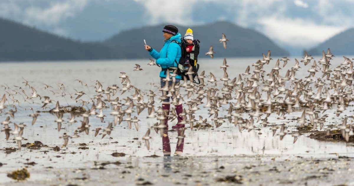 The Best Wildlife Viewing Spots in Cordova