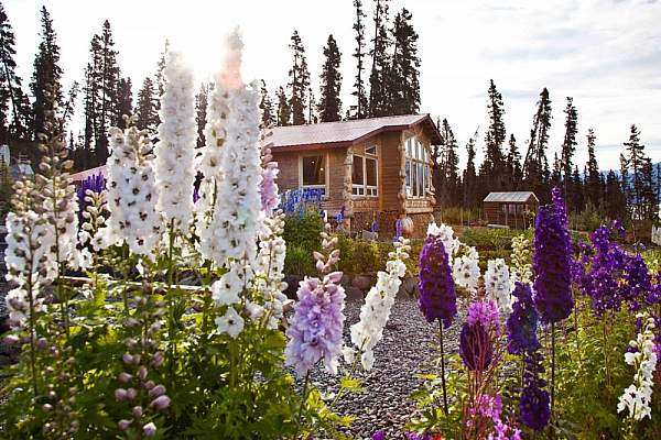 alaska-wilderness-lodges-resorts