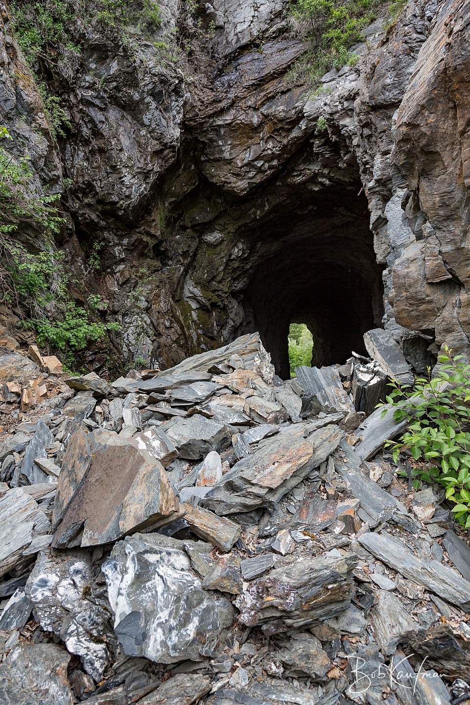 16 A0241 Copper River Abandoned Tunnel jpg