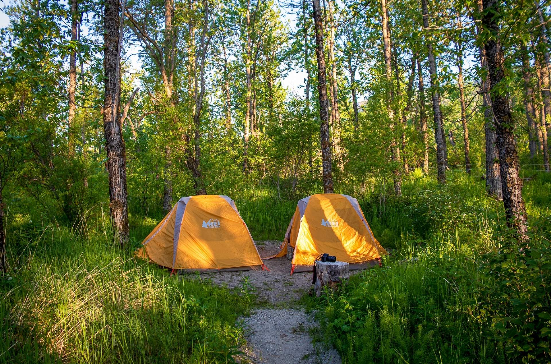 Campground at Brooks Camp in Katmai National Park