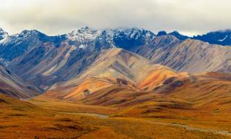 National Parks Photos Alexyn Scheller Denali National Park 0 K8 A8078