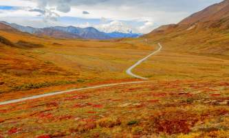 National Parks Photos Alexyn Scheller Denali National Park 0 K8 A8146