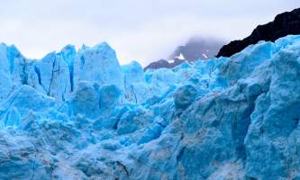 National Parks Photos Alexyn Scheller Glacier Bay National Park 0 K8 A5636
