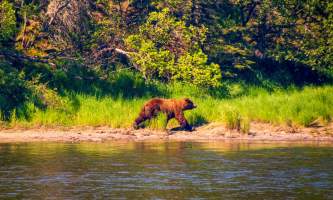 National Parks Photos Alexyn Scheller Katmai National Park Katmai 29