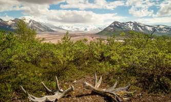 National Parks Photos Alexyn Scheller Katmai National Park Valley of 10000 Smokes 11