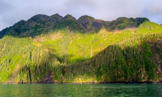 National Parks Photos Alexyn Scheller Kenai Fjords National Park 0 K8 A8497
