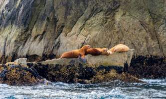 National Parks Photos Alexyn Scheller Kenai Fjords National Park 0 K8 A8548