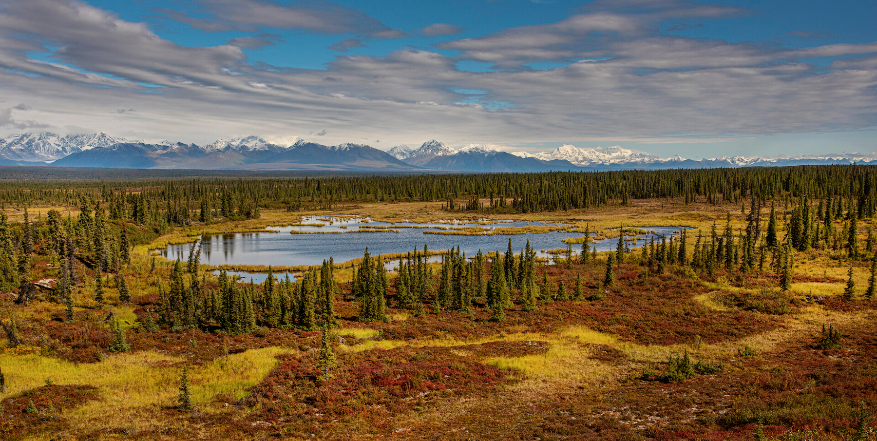 Denali Highway: From Paxson or Cantwell