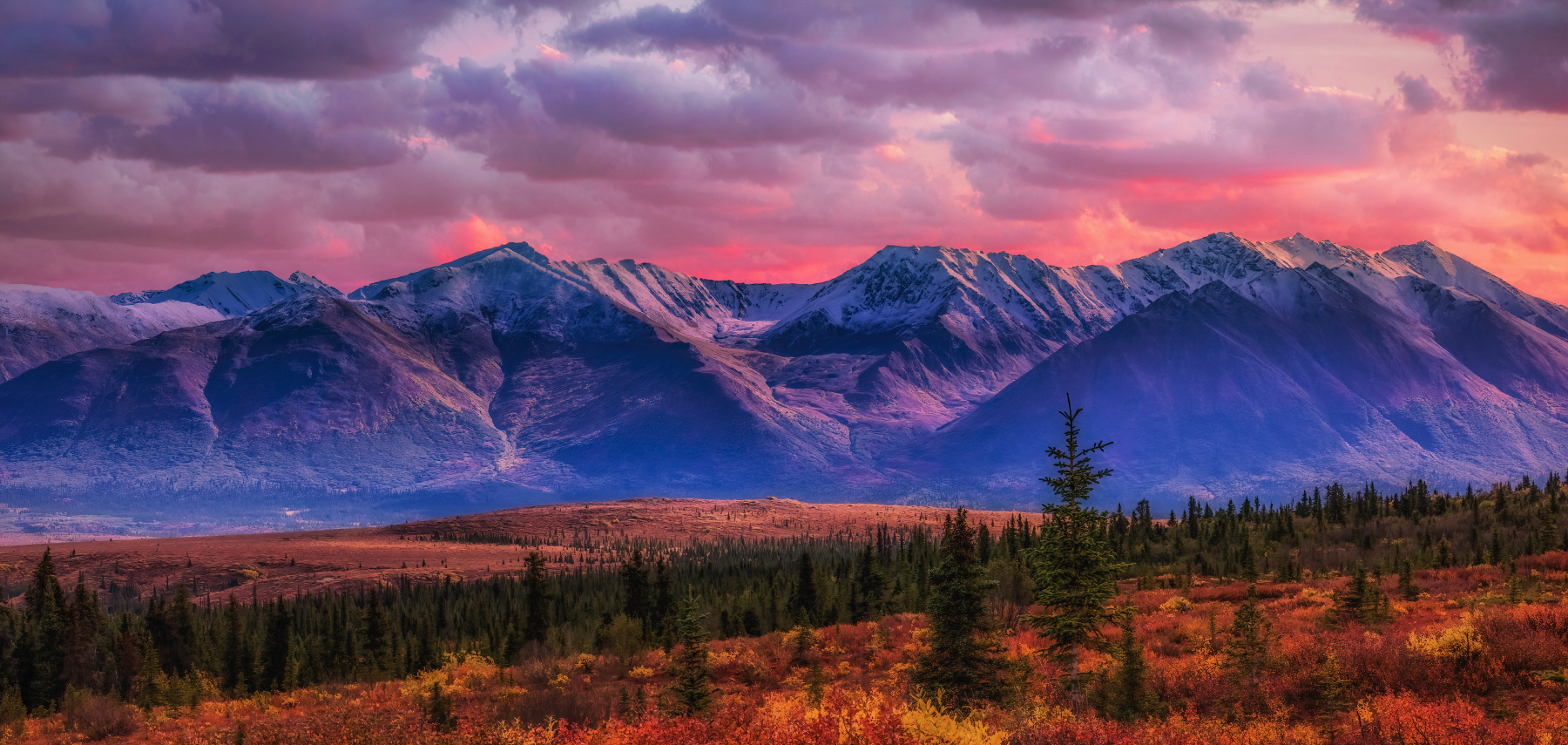 Denali Highway: From Paxson or Cantwell