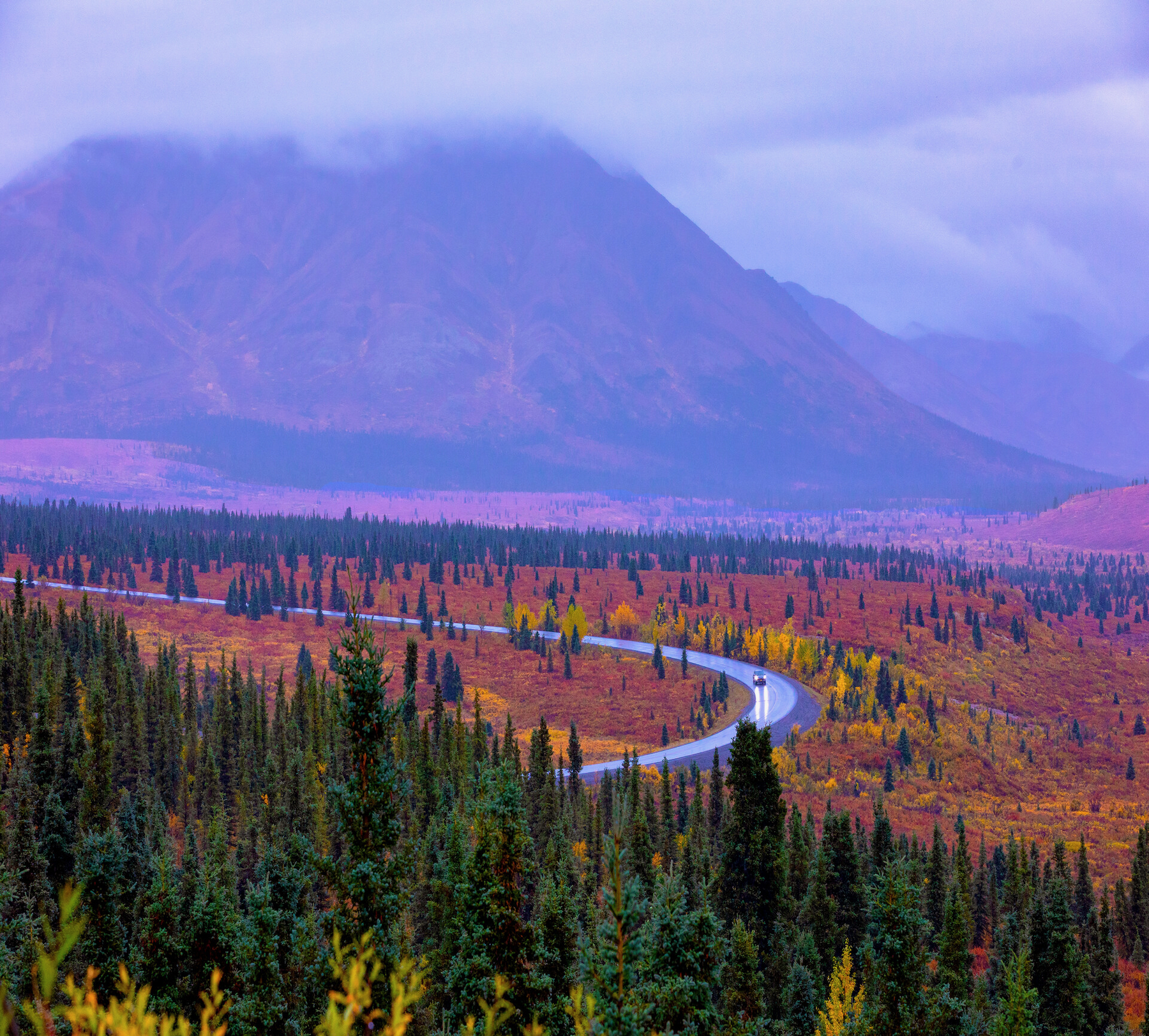 The Denali Park Road: Denali National Park