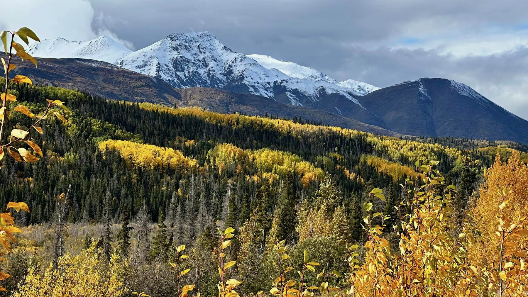 The Haines Highway: Haines to the Border, Haines Junction, YT or Skagway, AK