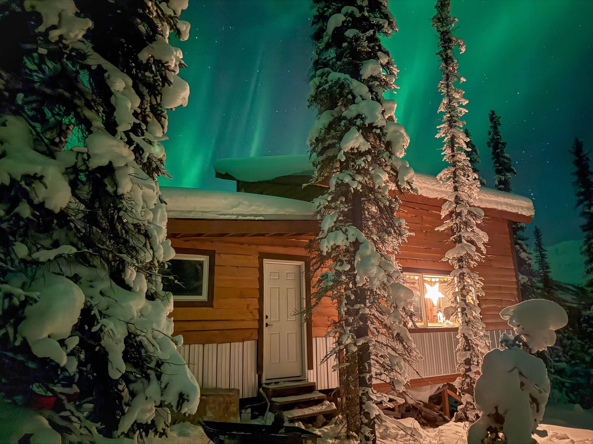 Arctic Hive
