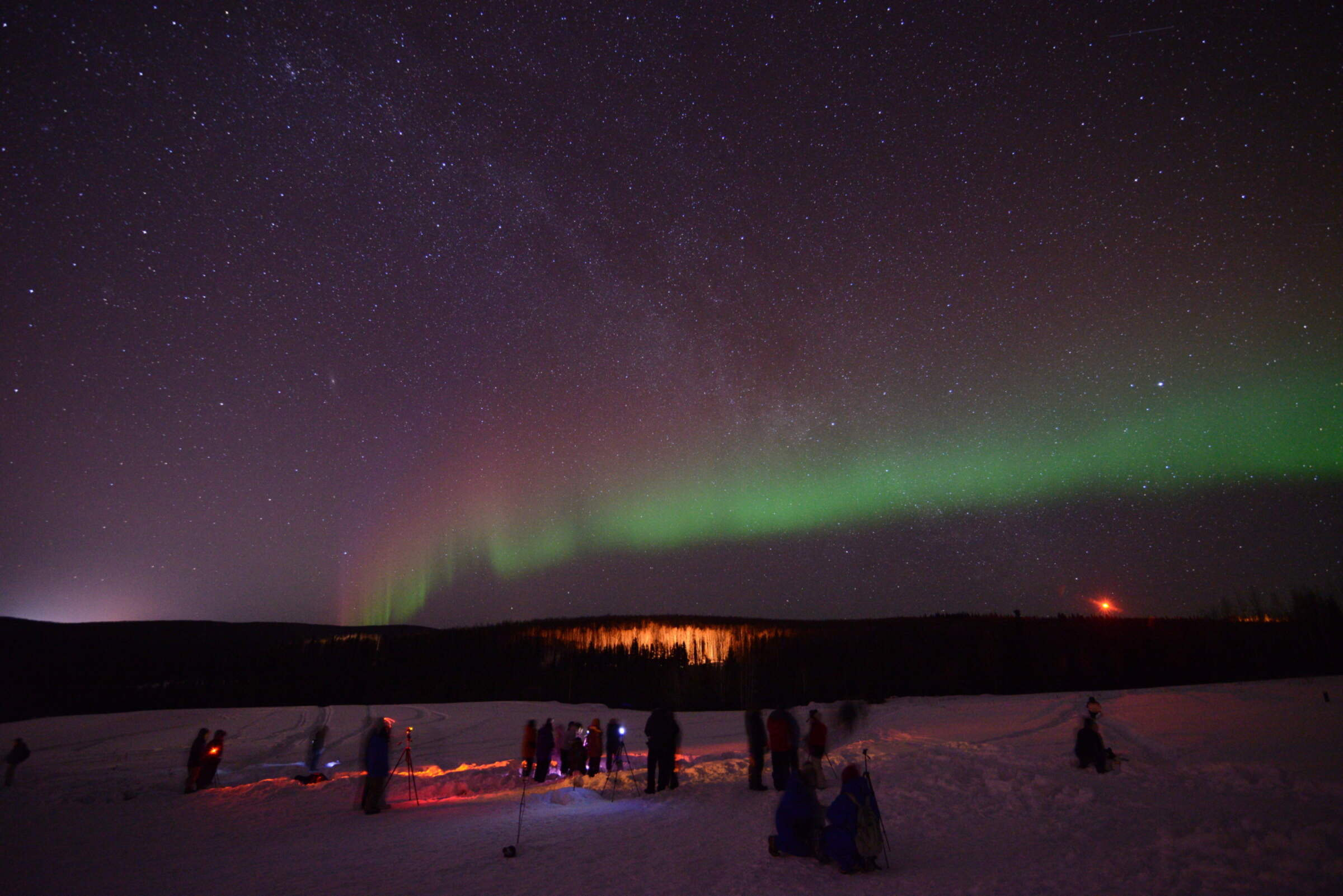 Salmon Berry Tours Northern Lights