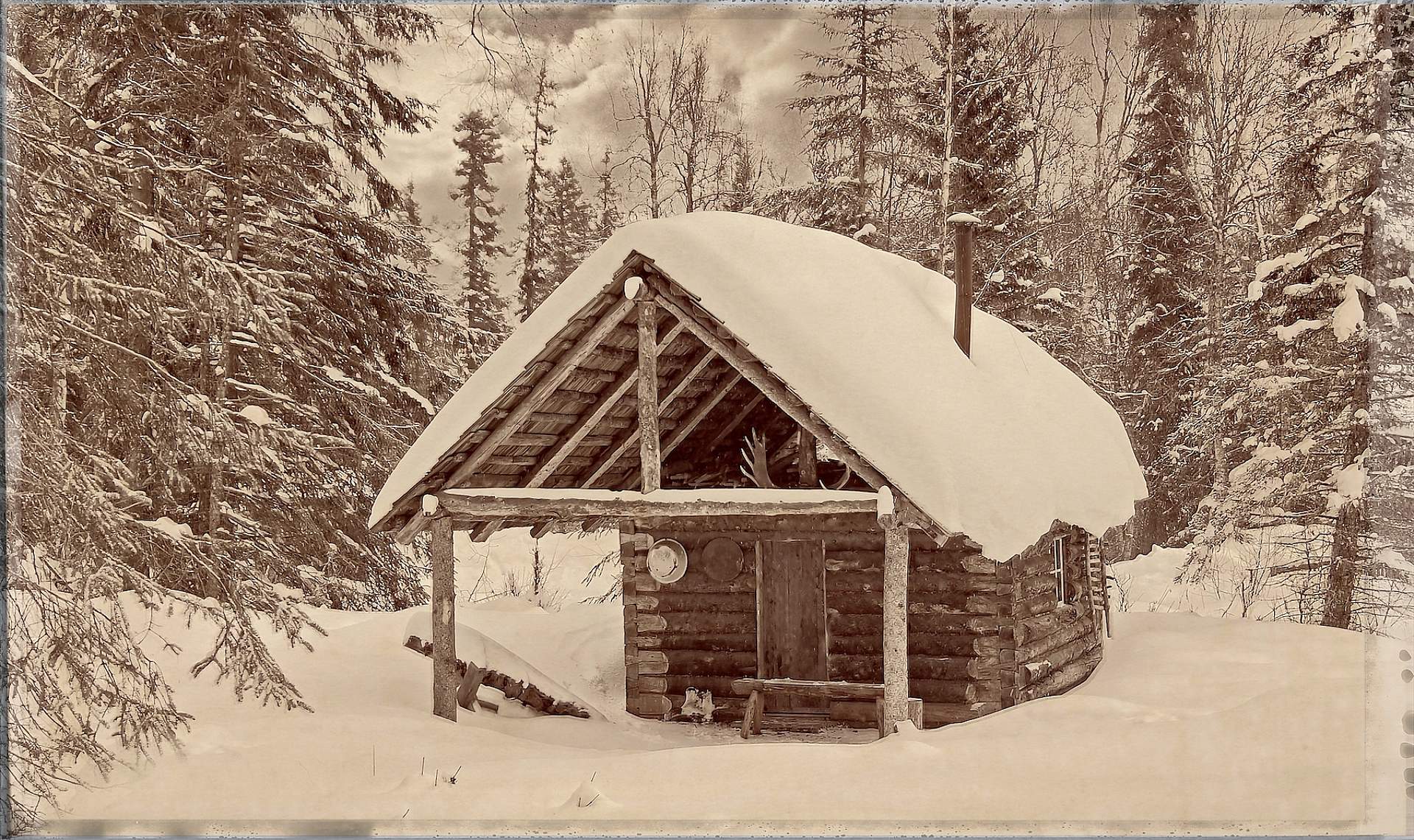 Cabin Sepia 1800