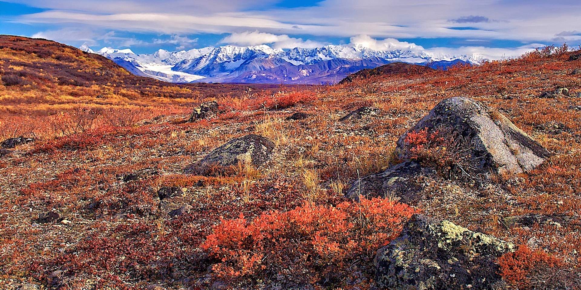 Denali Highway 2 1800