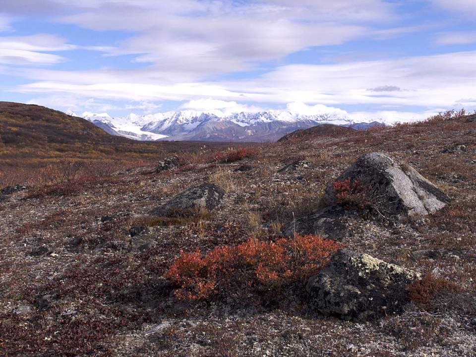 Denali Highway 1 1800