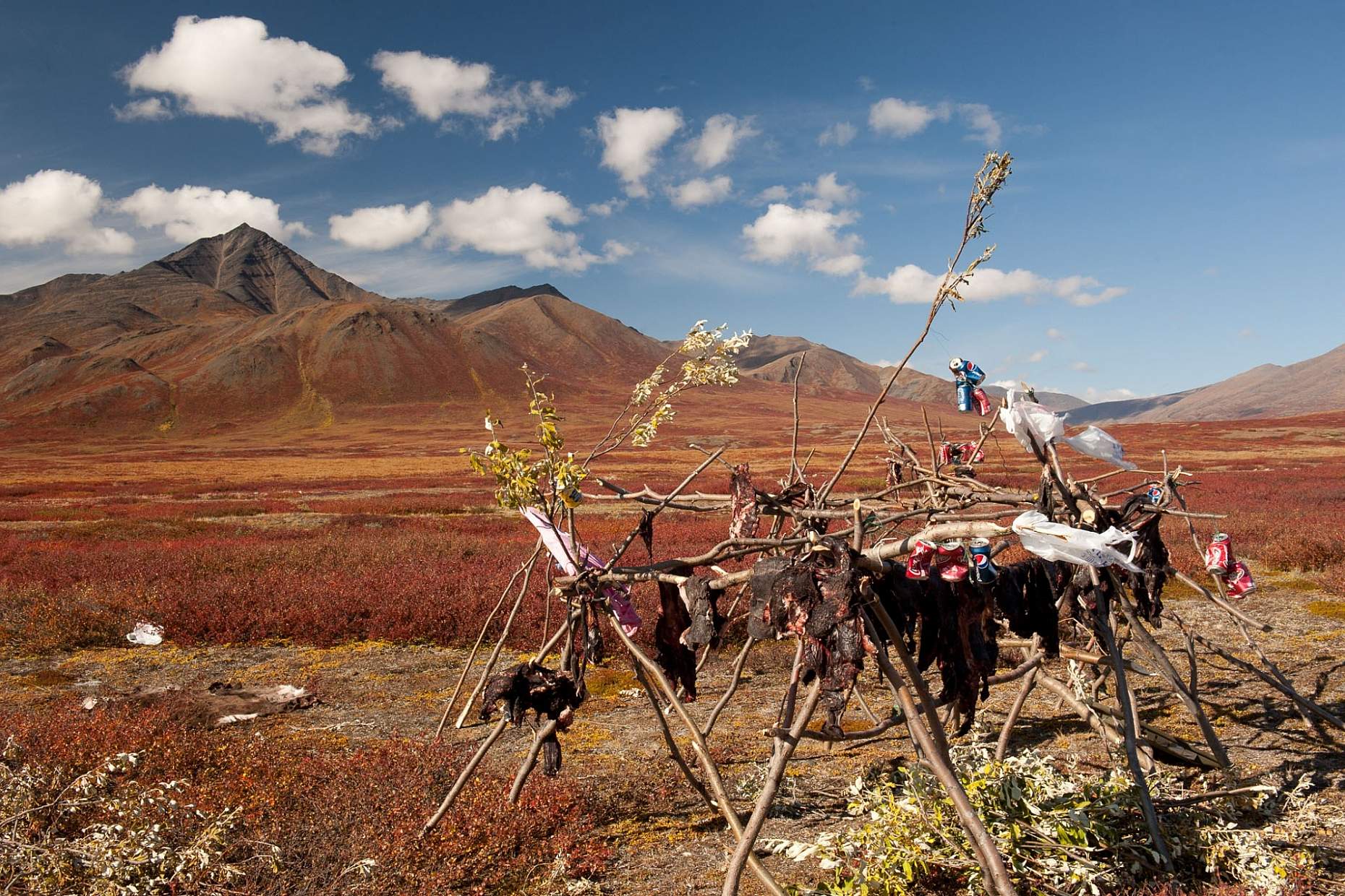 Carl-Johnson-Remote-Caribou-Camp-Anaktuvuk-Pass-0811 GAAR AK 2411