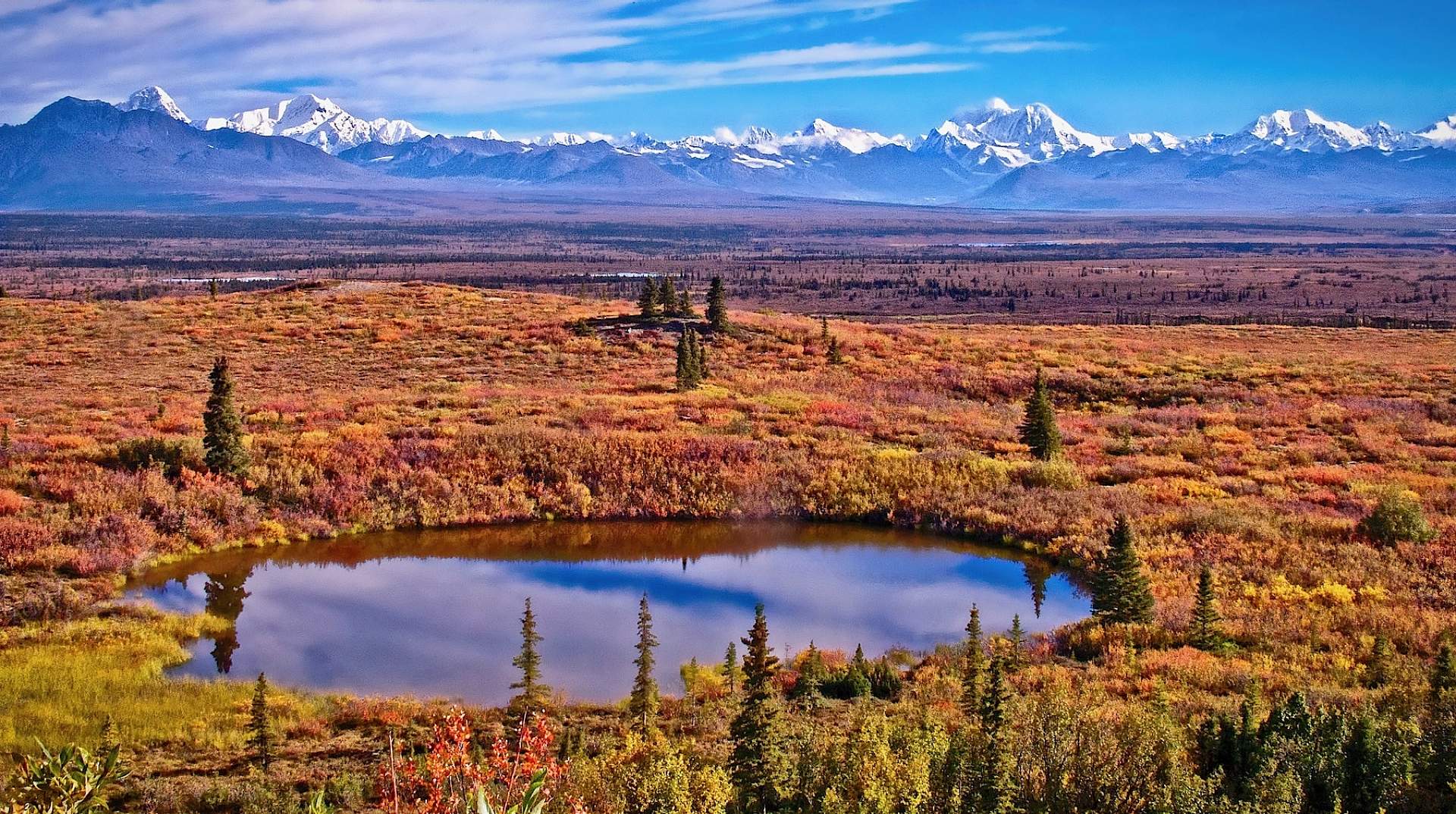 Alaska Range view - note the kettle pond in foreground - Mile 87 (approx.)