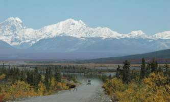 Gonorth car rv rentals 1