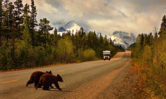 Gonorth car rv rentals 2