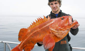 Steve Zernia Pro Fish N Sea 2024 Blog Seward Yelloweye Steve Zernia