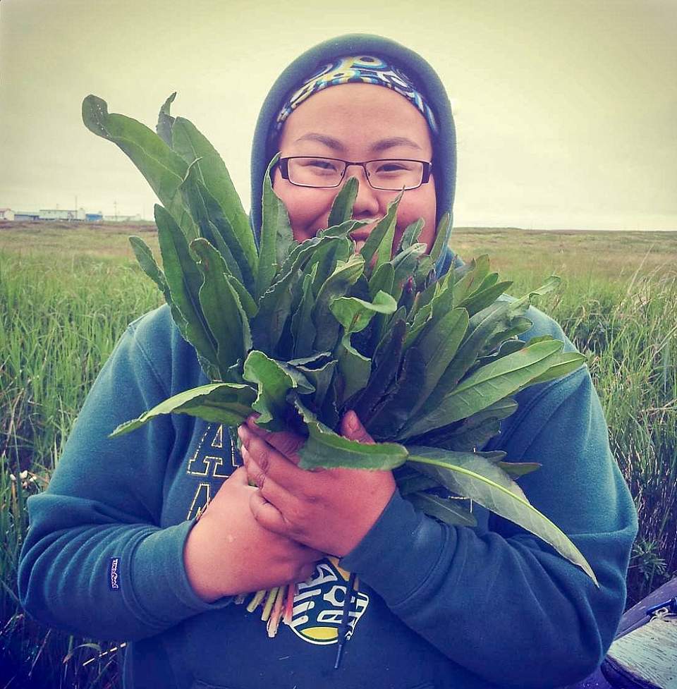 Harvesting Sourdock for Subsistence in Ninivak, Alaska