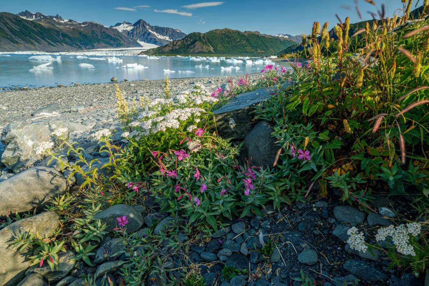 Jeff Schultz Kayaking Bear Glacier 190729 5 F2676