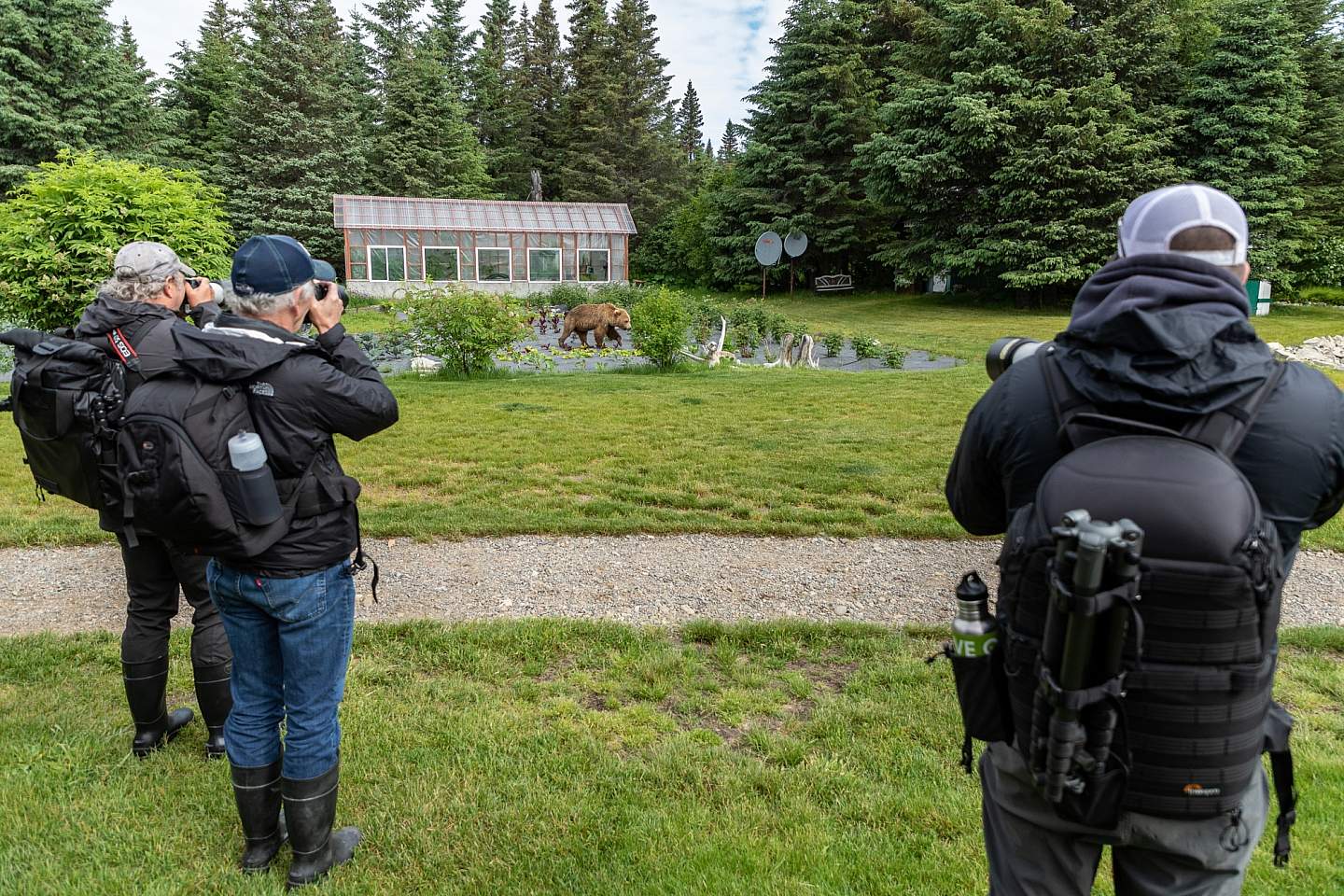 Jeff Schultz Bear Viewing Lake Clark 190618 5 F9067