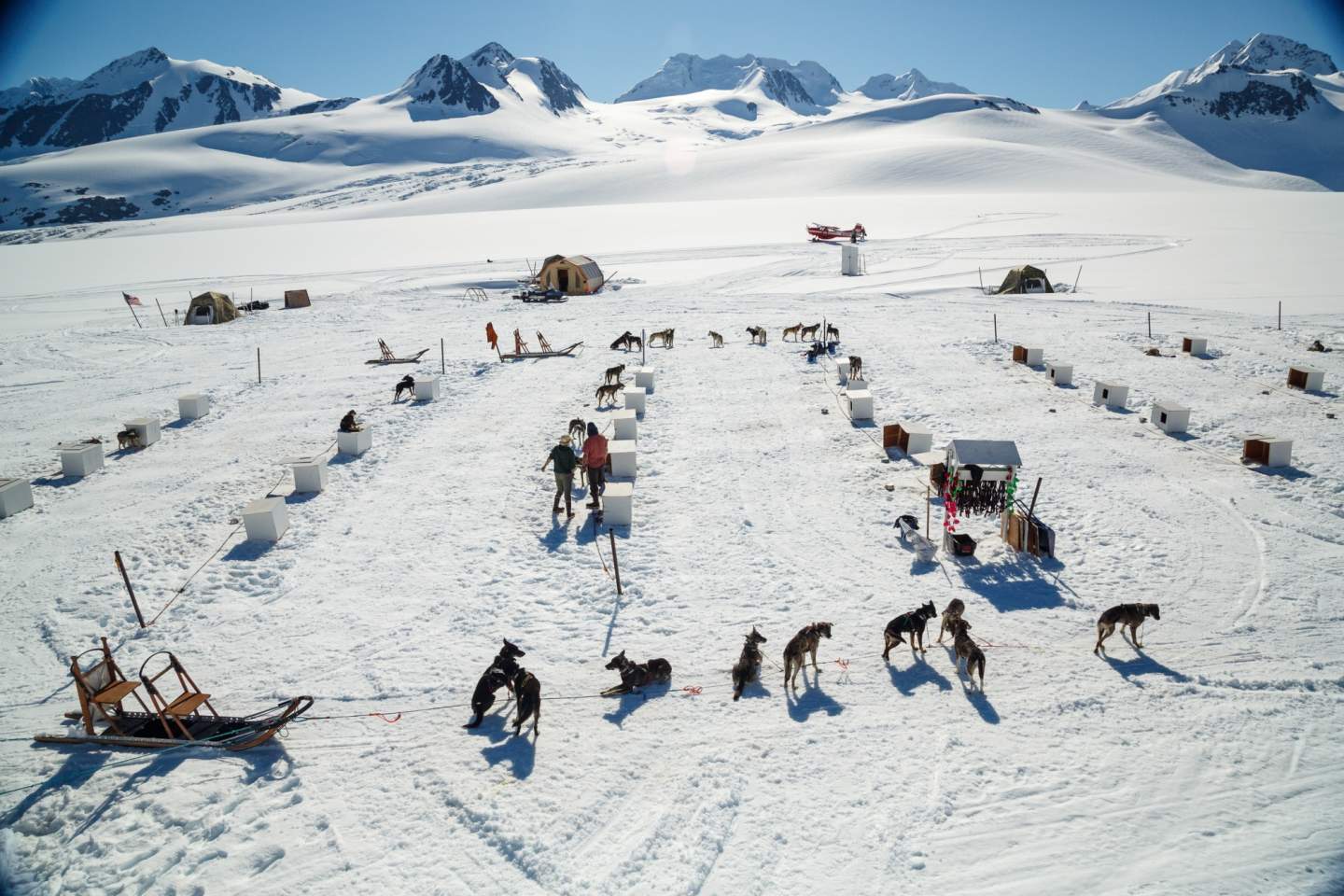 Jeff Schultz Mushing Tour Chugach Mountains 150613 4 M6848