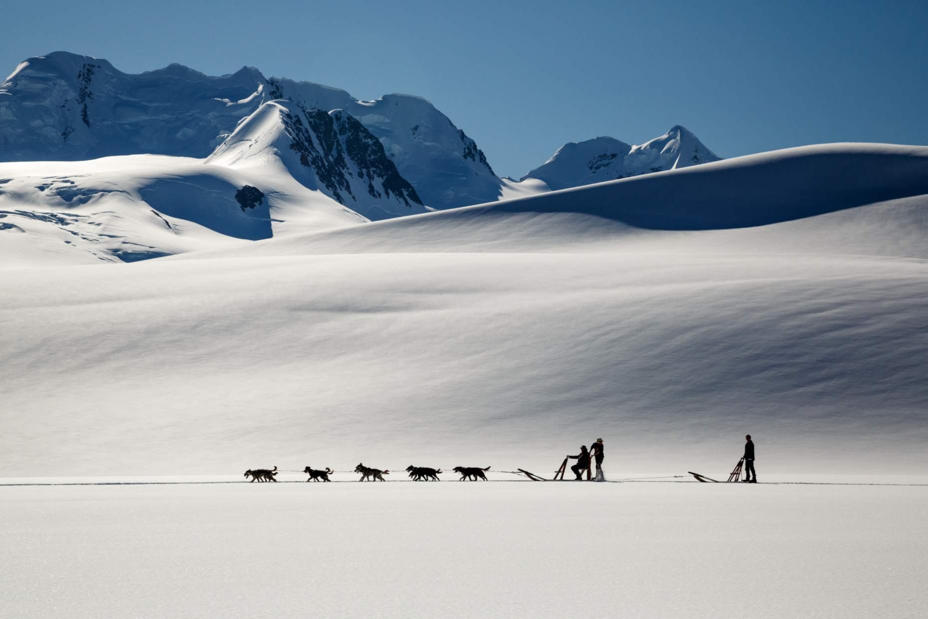 Jeff Schultz Mushing Tour Chugach Mountains 150613 4 M6649