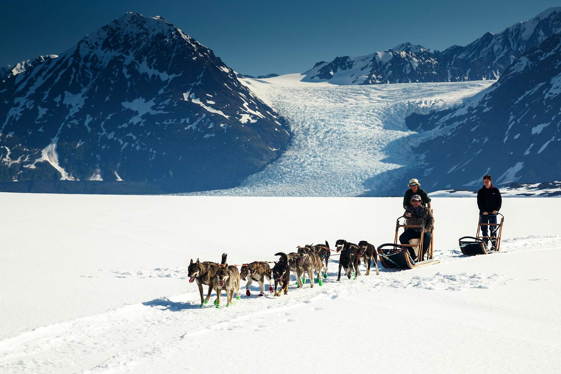 Jeff Schultz Mushing Tour Chugach Mountains 150613 4 M6744