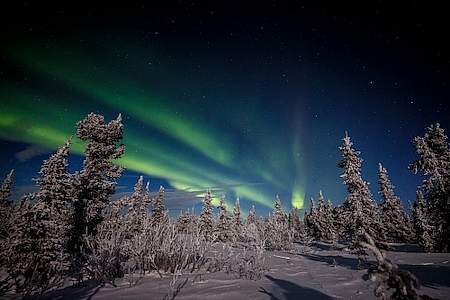 Jeff Schultz Northern Lights Viewing Fairbanks 170107 5 M4415