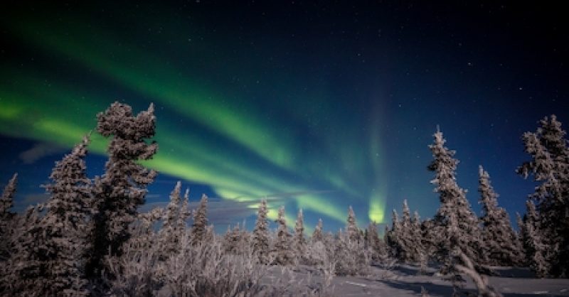 Northern lights: A cold, dark trip that leaves lasting joy 