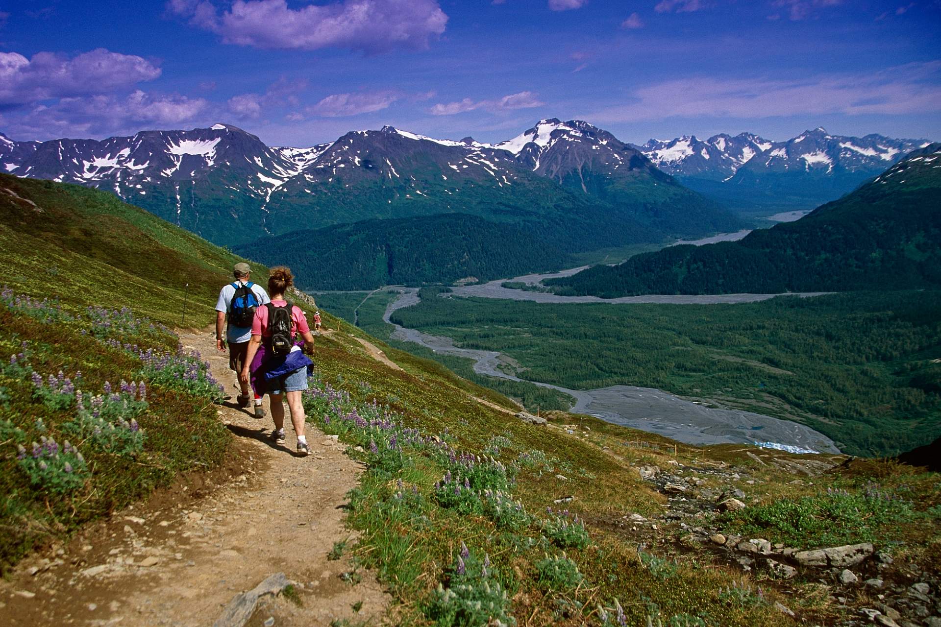 Jeff Schultz Harding Ice Field 2131294 High Res