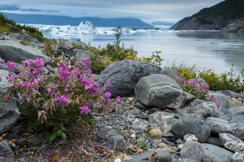 Jeff Schultz Knik Glacier 160716 5 M6531