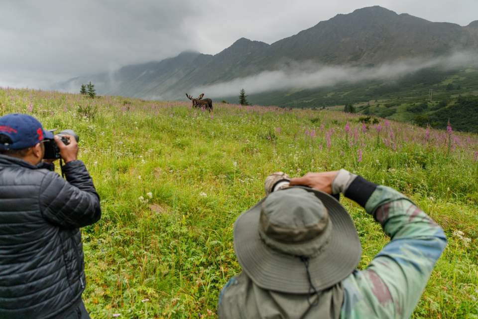 Jeff Schultz Moose Viewing Powerline pass 190712 5 F1003