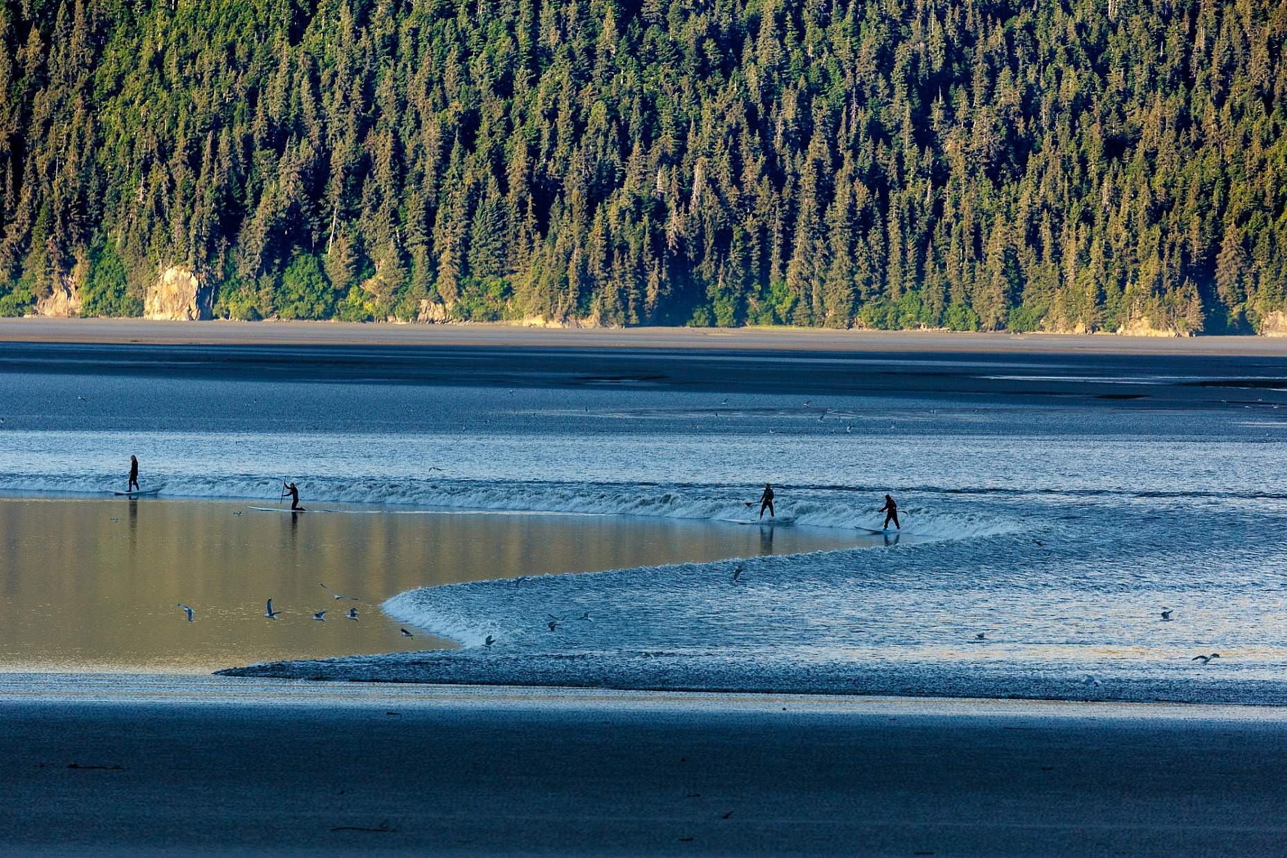 Jeff Schultz Bore Tide 160622 5 D1944