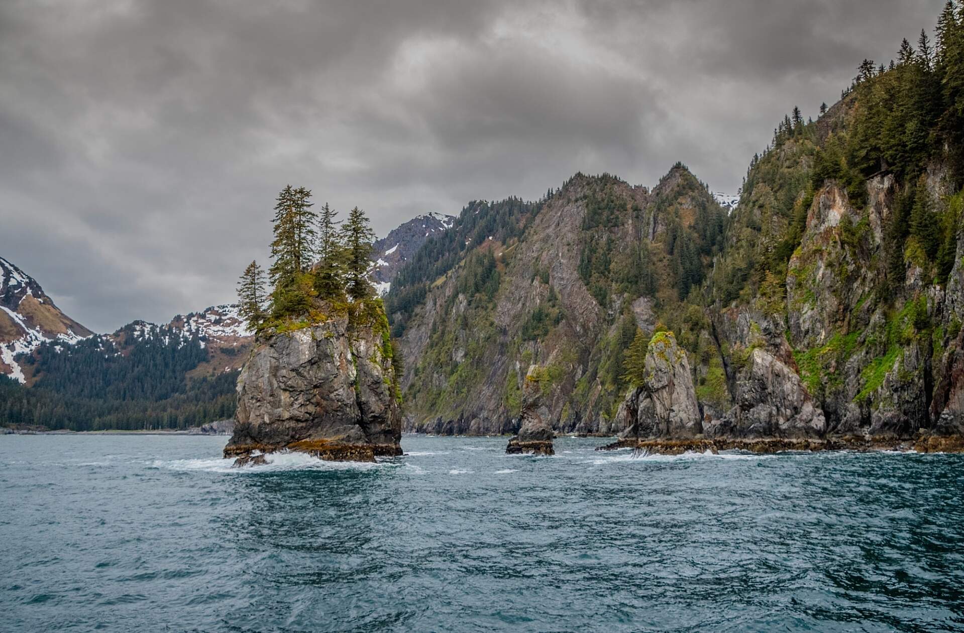 Kenai fjords tours captains choice DSC 5771