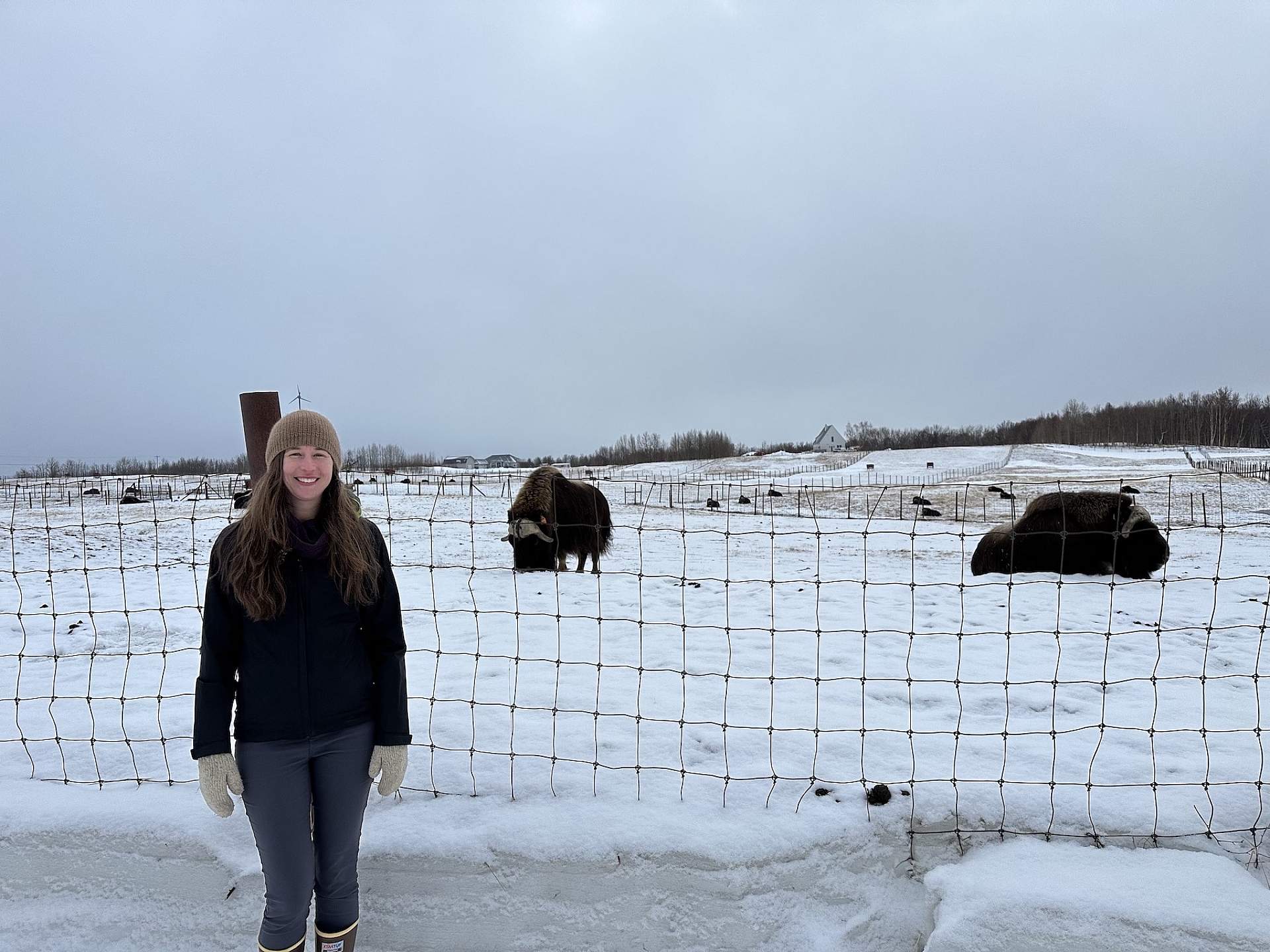 Tour guide Dani smiles in front of a herd of musk oxen at the Musk Ox Farm in Palmer, Alaska