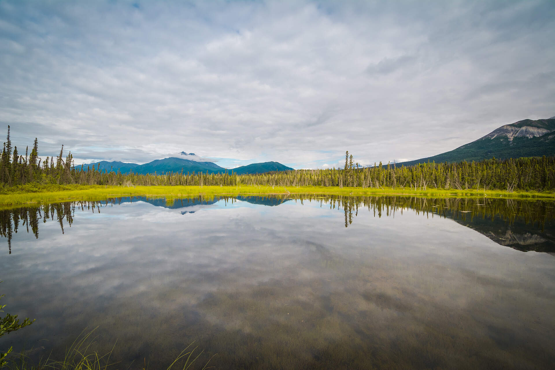 Photo of a landscape taken off of McCarthy Road in Alaska.