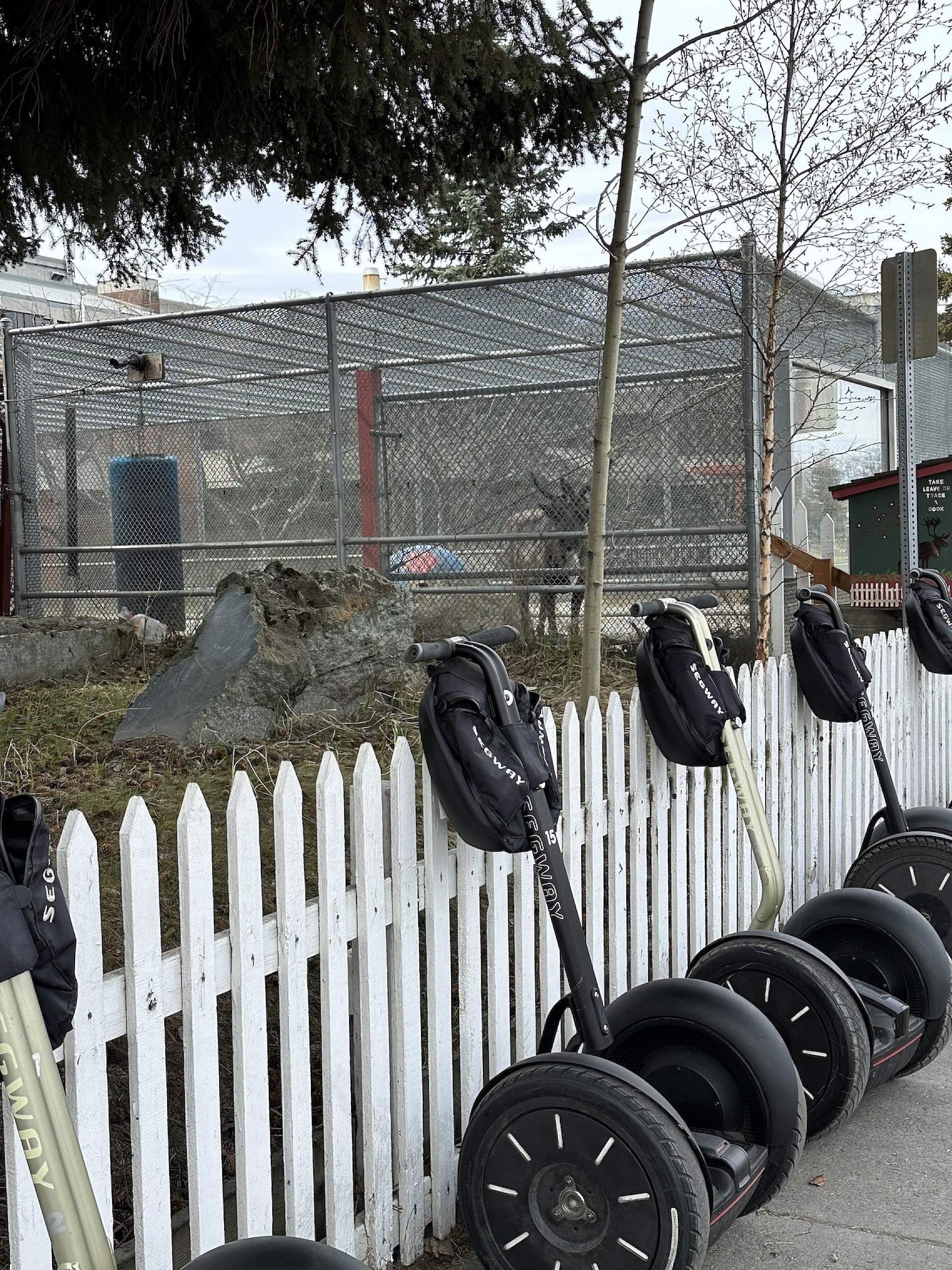 A group of Segways lines a fence in front of Anchorage's Star the Reindeer in Anchorage, Alaska.