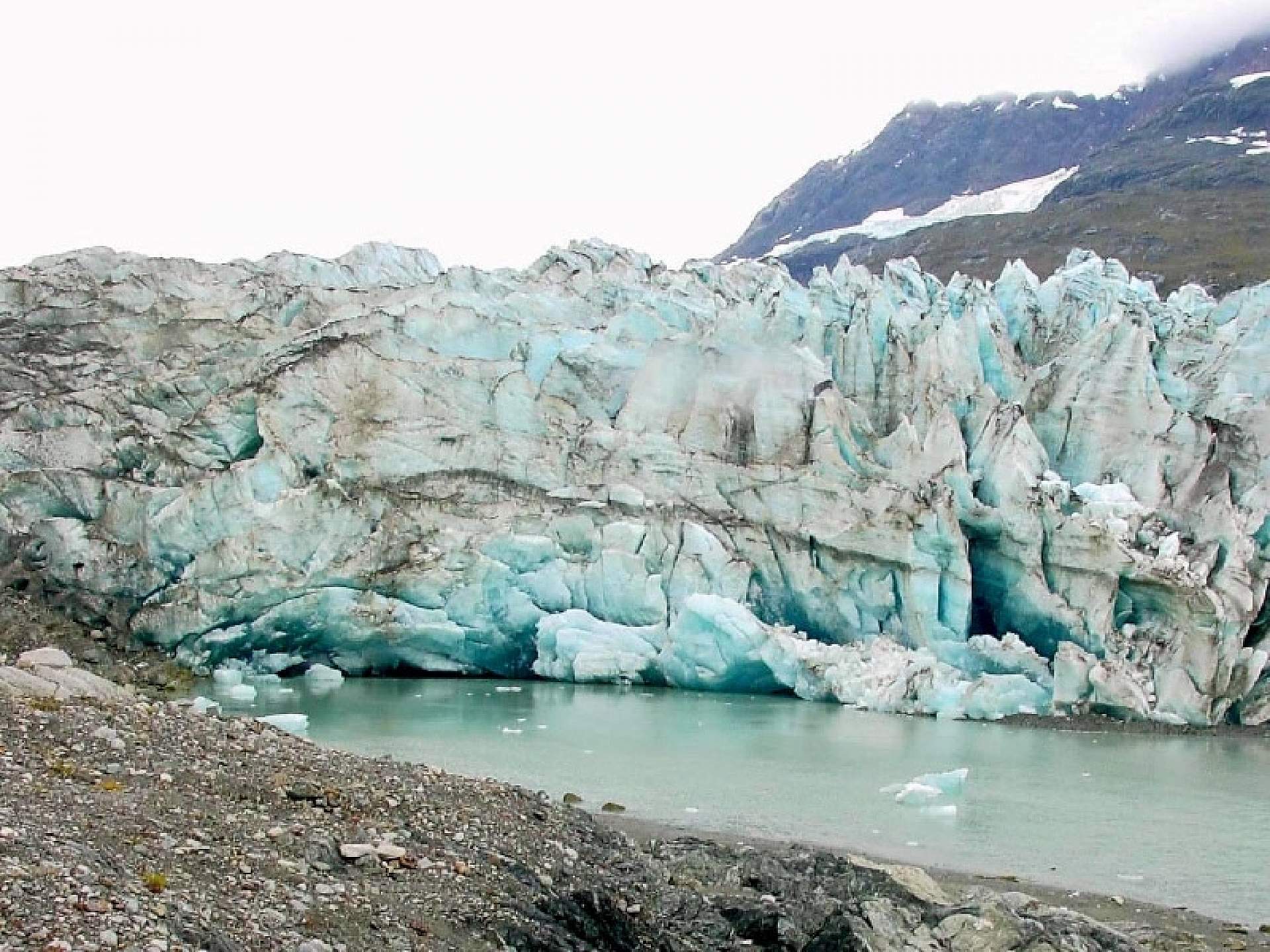 Bruce Molnia Glacier Photos Lamplugh Glacier View1 2003