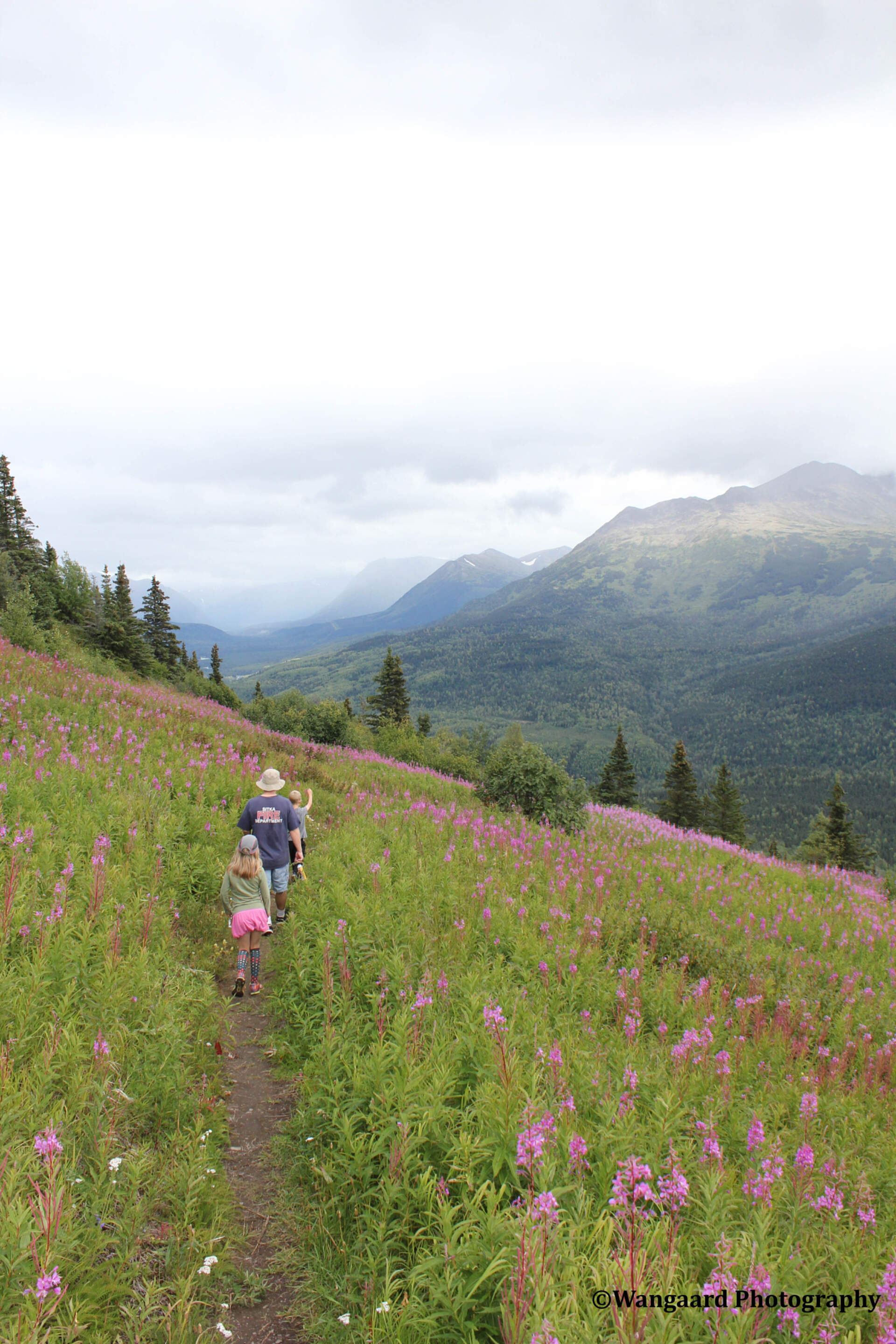 Skilak Lake Jessene Wangaard Anchorage to Sewardalaska org alaska org photo contest