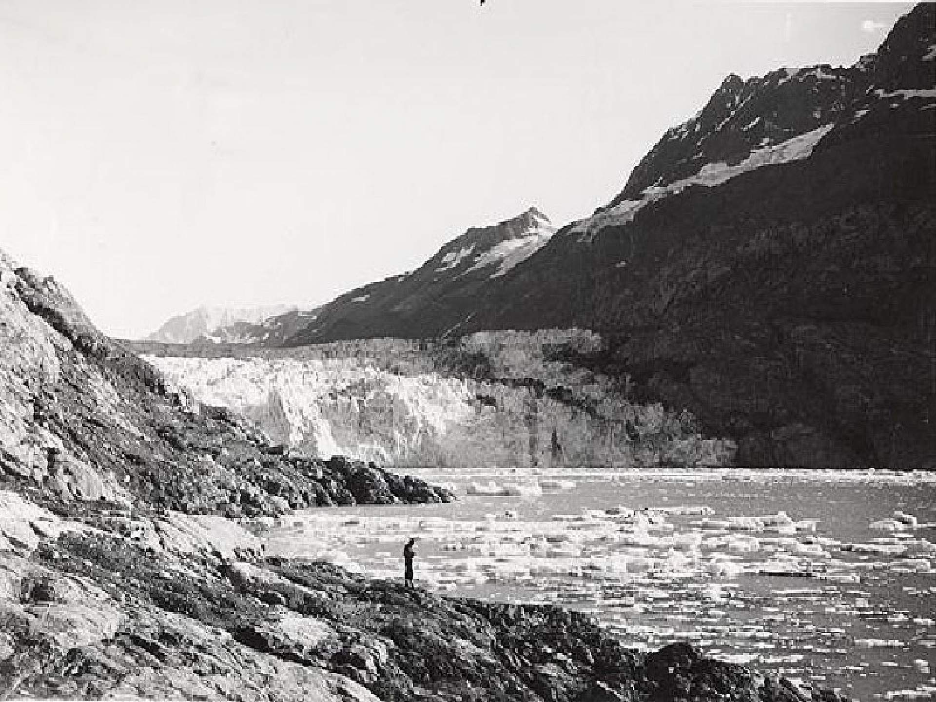 Bruce Molnia Glacier Photos Lamplugh Glacier View1 1941